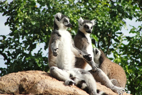 WhatsApp Image 2026-02-24 at 18.32.39